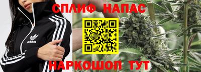 эйфоретик Бугуруслан