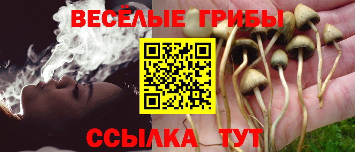 Галлюциногенные грибы мухоморы  Вход с VPN  Южно-Сахалинск 