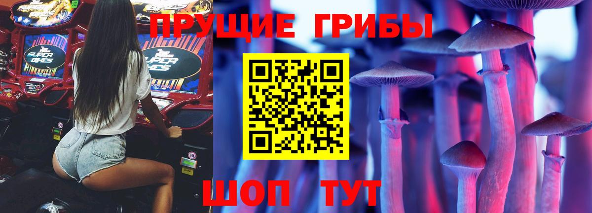 Псилоцибиновые грибы Psilocybe Южно-Сахалинск